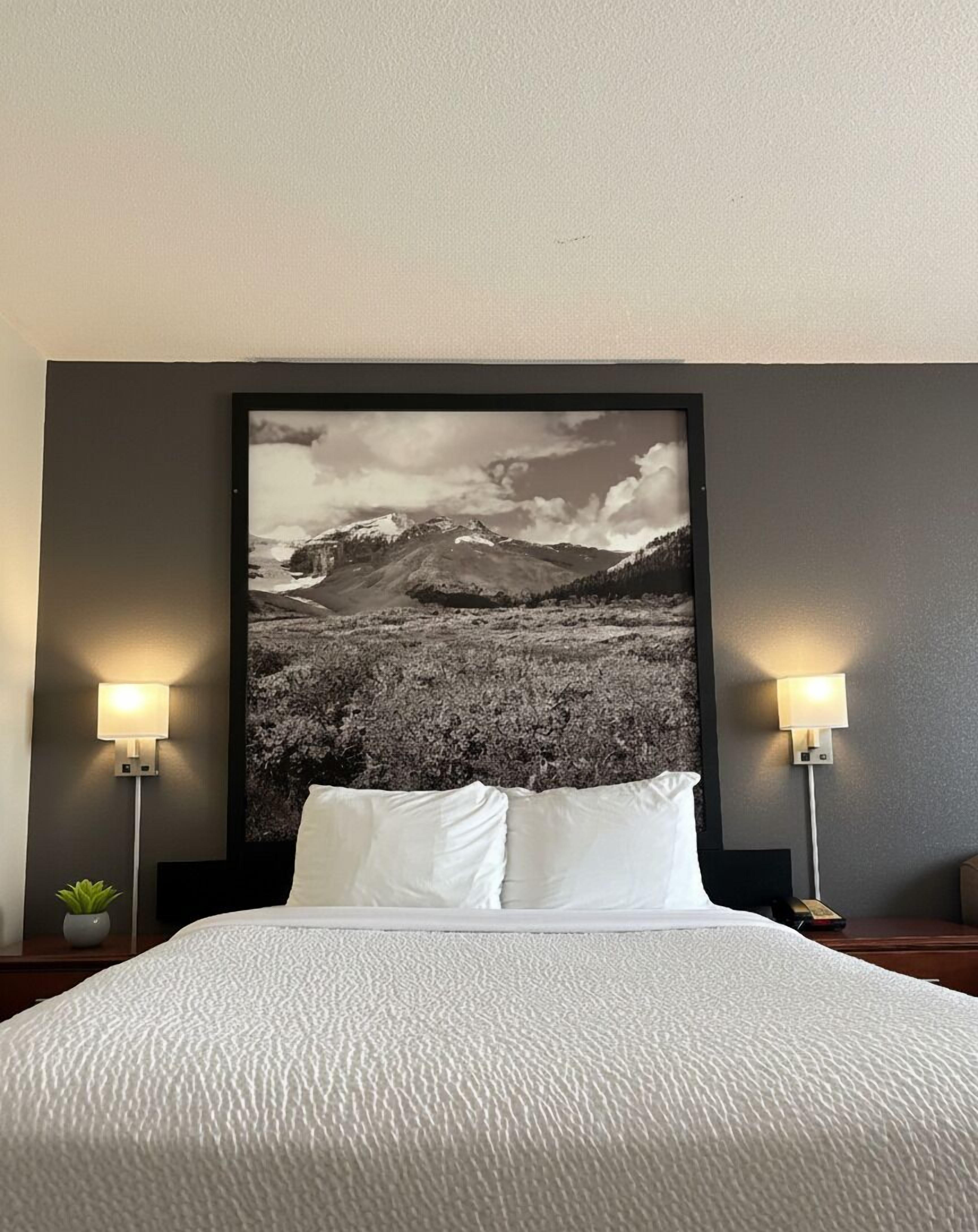 Business Room, 1 Queen Bed | Premium bedding, down duvets, laptop workspace, blackout curtains