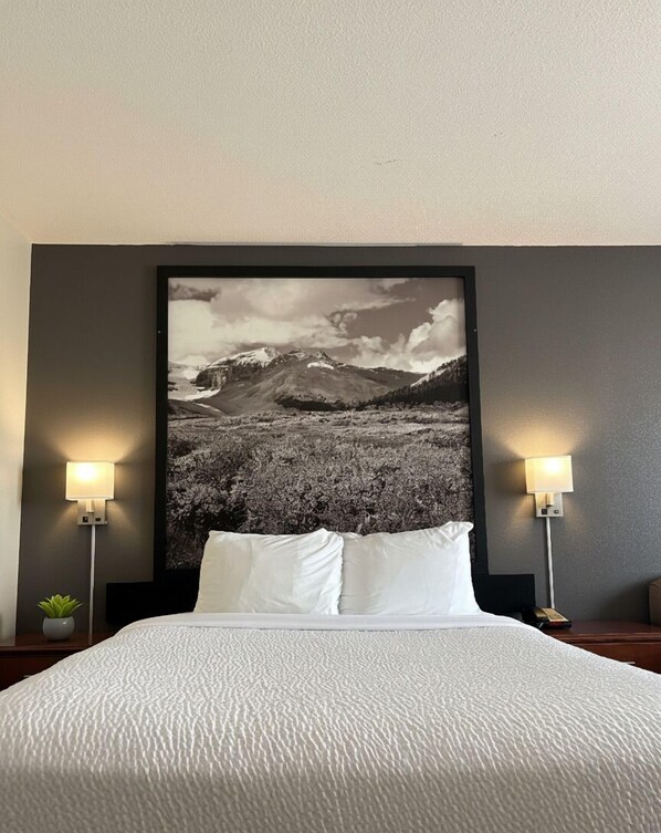 Business Room, 1 Queen Bed