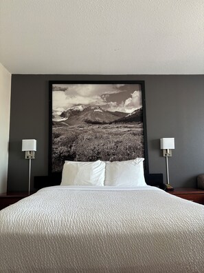 Business Room, 1 Queen Bed | Premium bedding, down comforters, laptop workspace, blackout drapes