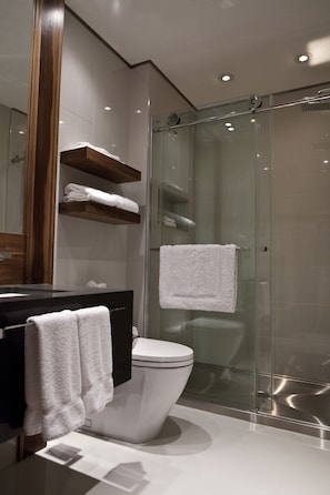 Shower, free toiletries, hair dryer, towels