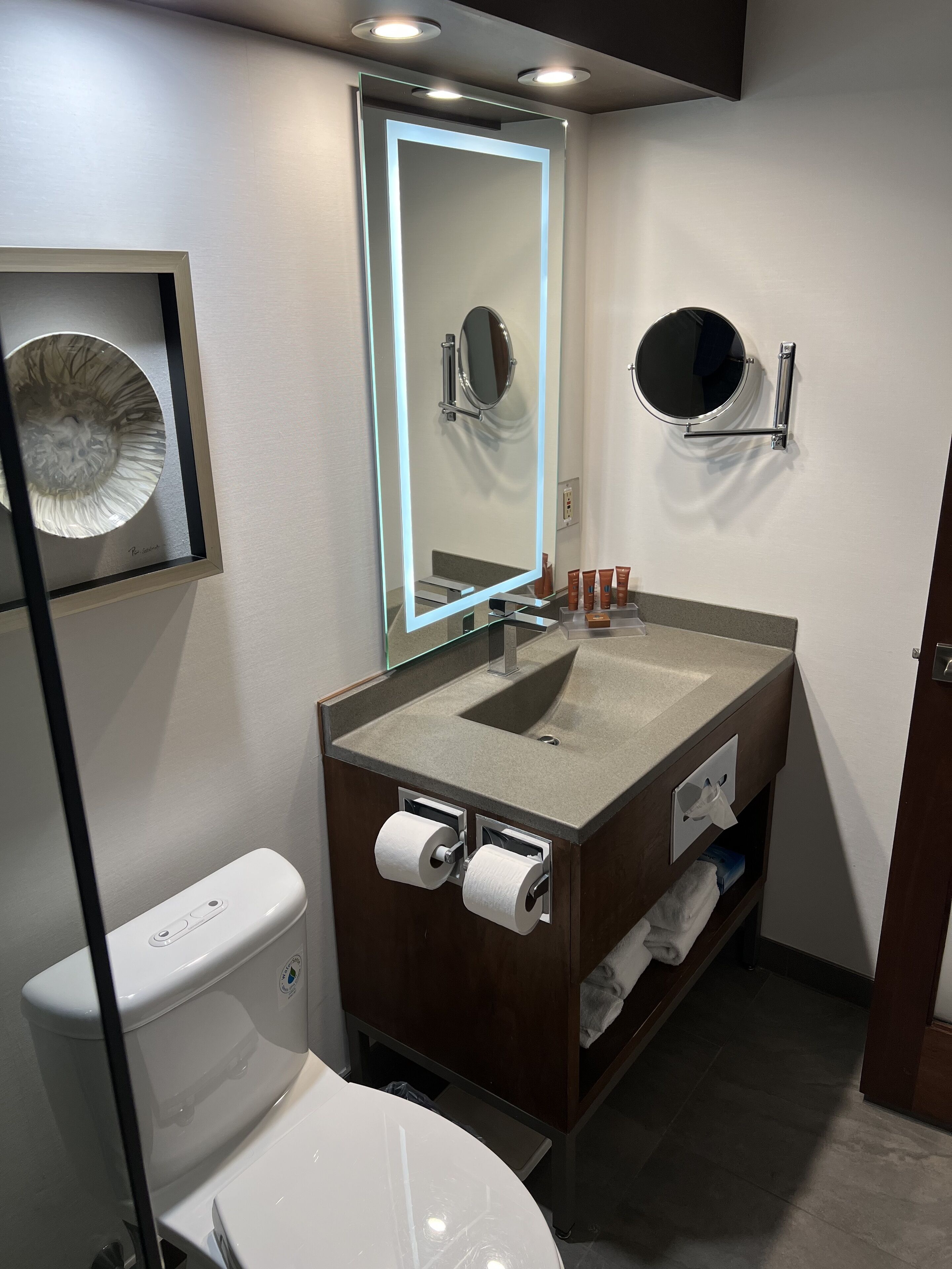 Un bagno moderno con il water, un lavandino e due specchi.