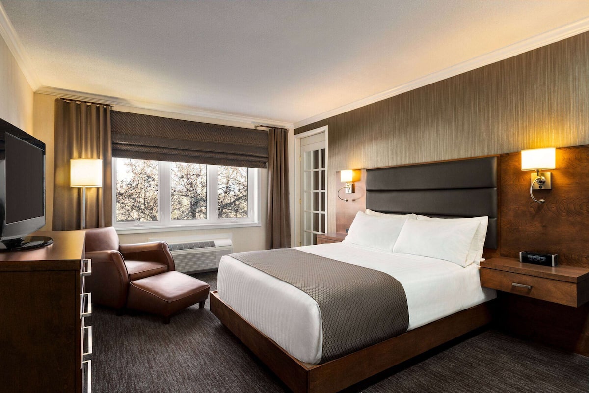 Executive Suite, 1 Queen Bed, Non Smoking