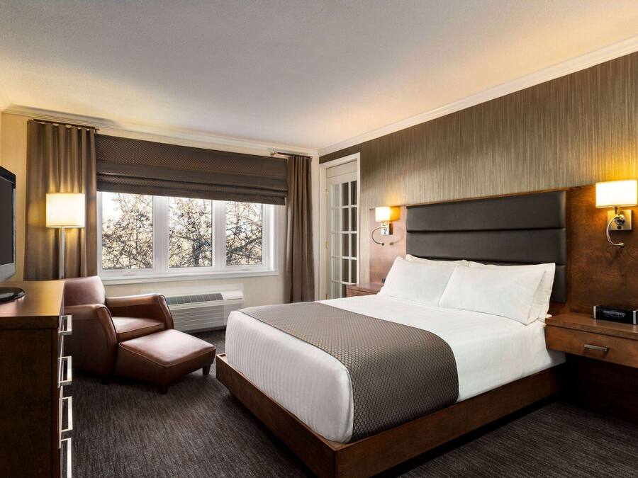 Executive-Suite, 1 Queen-Bett, Nichtraucher