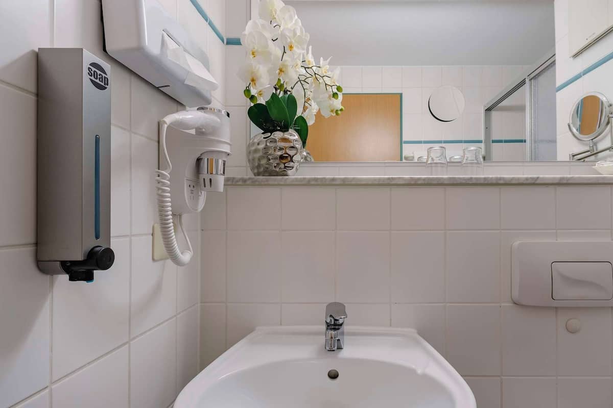 shower, free toiletries, hair dryer, slippers