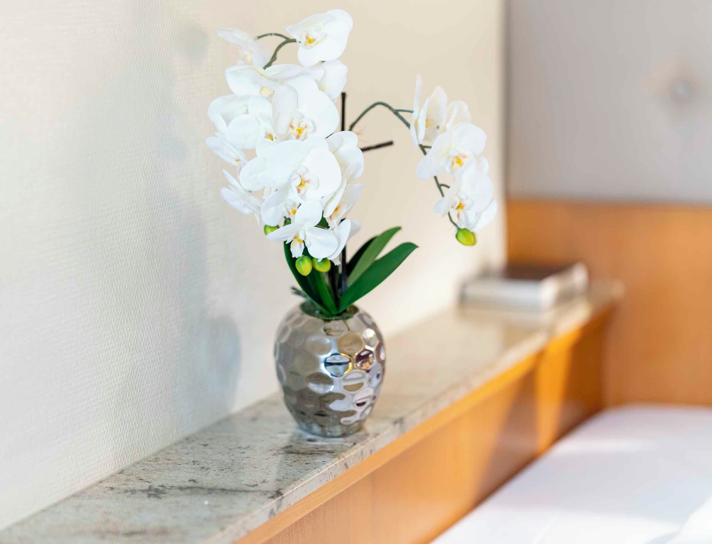 standard room, 1 single bed | minibar, in-room safe, desk, blackout curtains