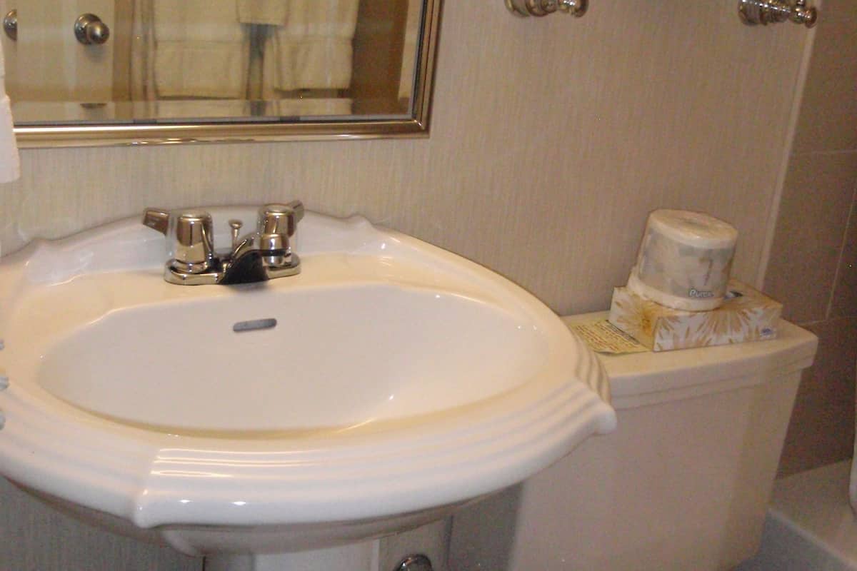 combined shower/bathtub, free toiletries, hair dryer, towels