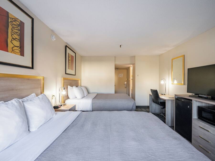 Habitació d'hotel amb dos llits, escriptori, televisió i microones.
