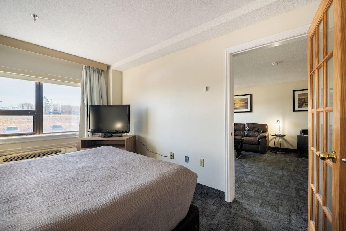 A hotel room with a large bed, a television, a window with curtains, and a view of the outside.