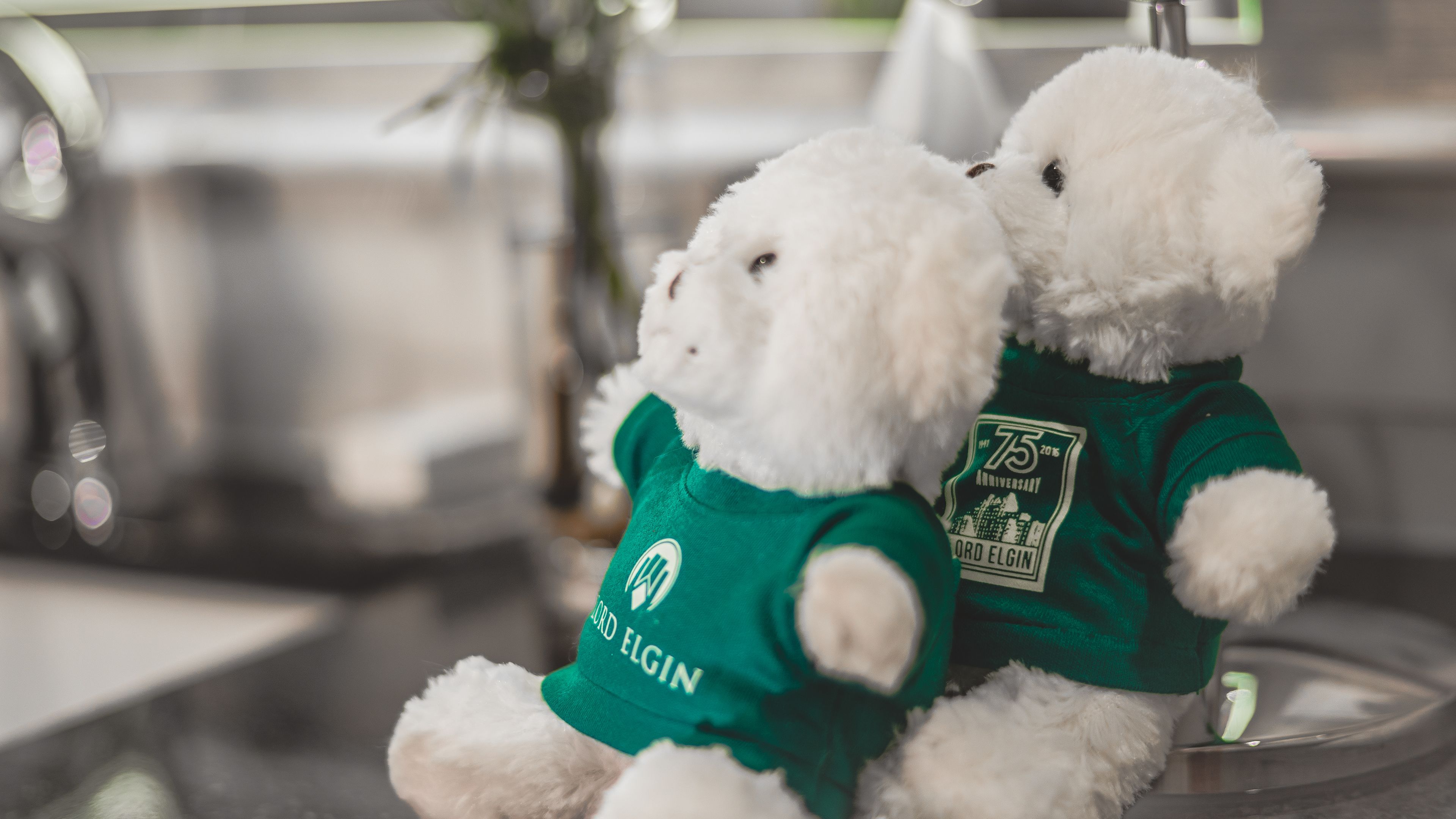 Foto - Lord Elgin Hotel