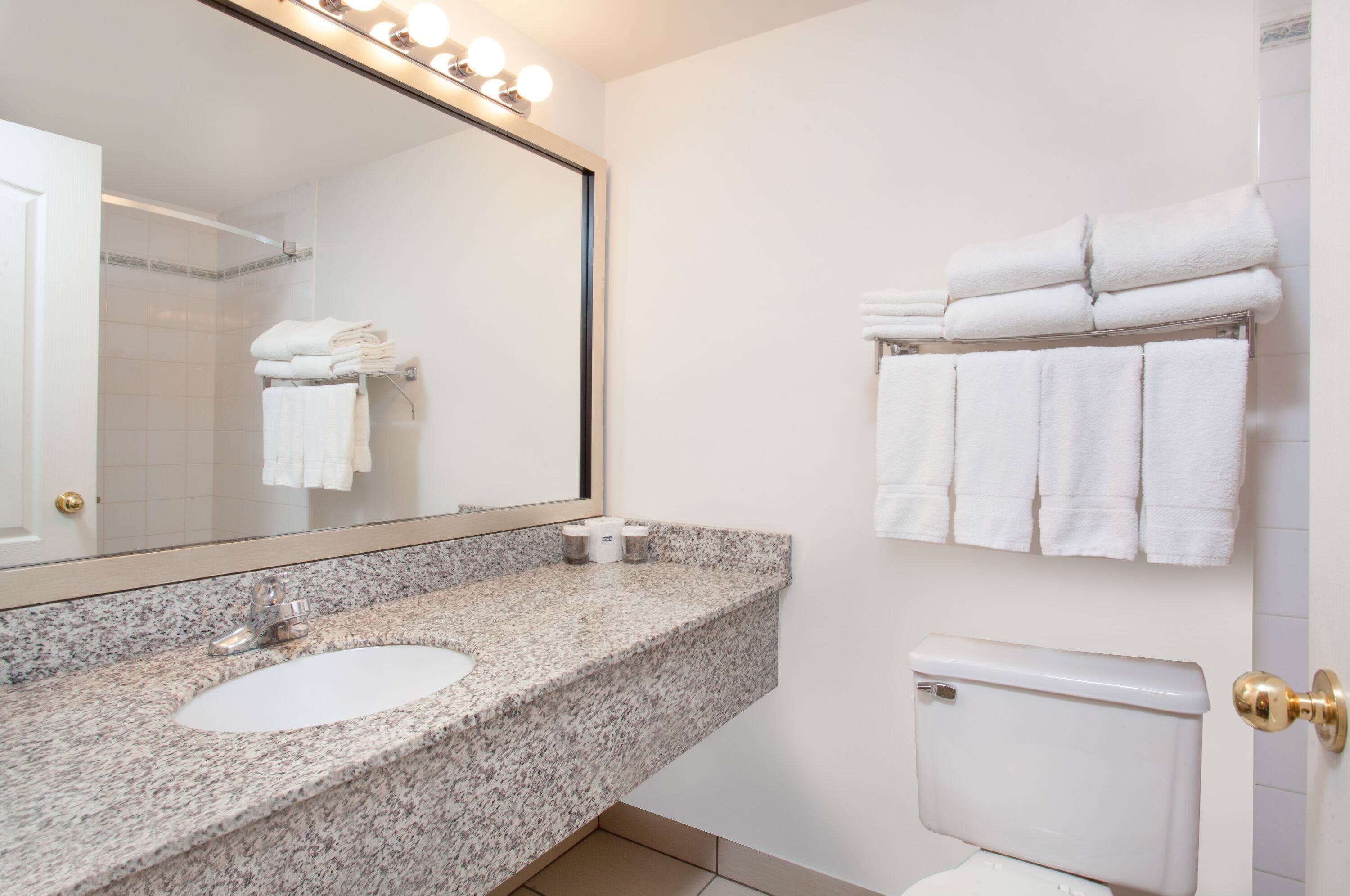 Combined shower/bathtub, free toiletries, hair dryer, towels