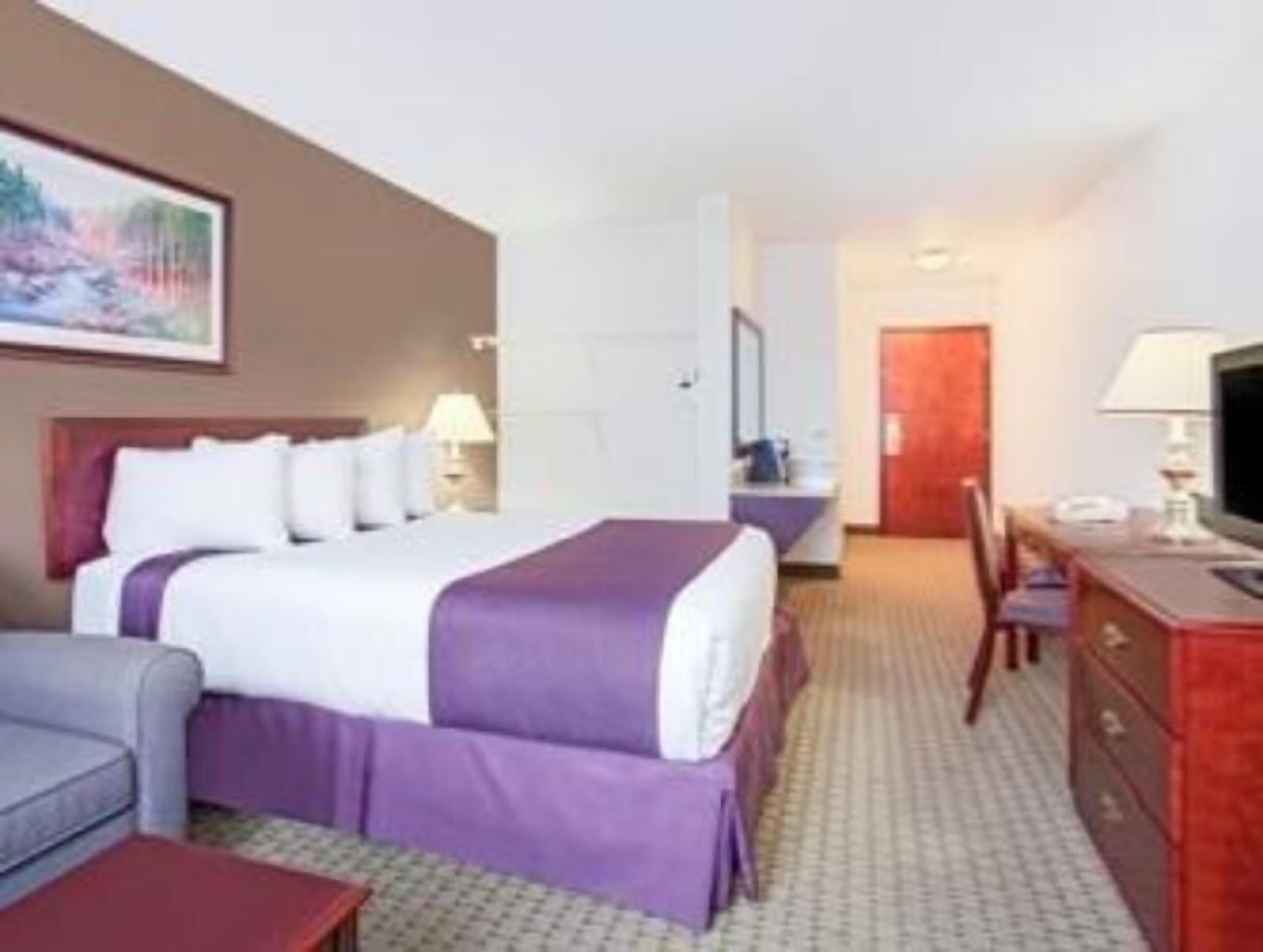 Premium bedding, pillow-top beds, individually furnished, desk