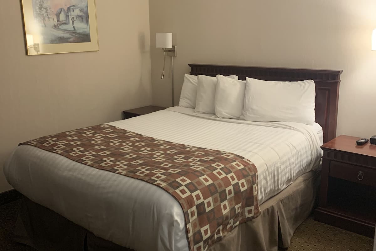 A hotel room with a large bed, a nightstand, a lamp, and a painting on the wall.