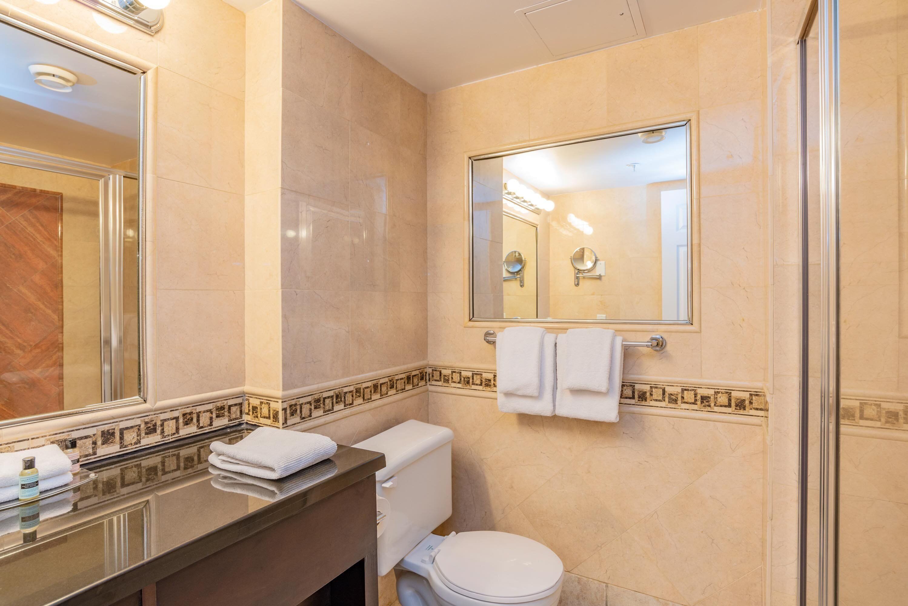 combined shower/bathtub, free toiletries, hair dryer, towels