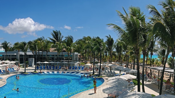 A pool area with lounge chairs and umbrellas, surrounded by palm trees.