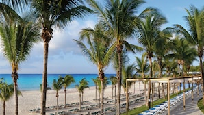A beachside hotel with rows of sun loungers and palm trees, a clear view of the ocean, and a covered walkway.