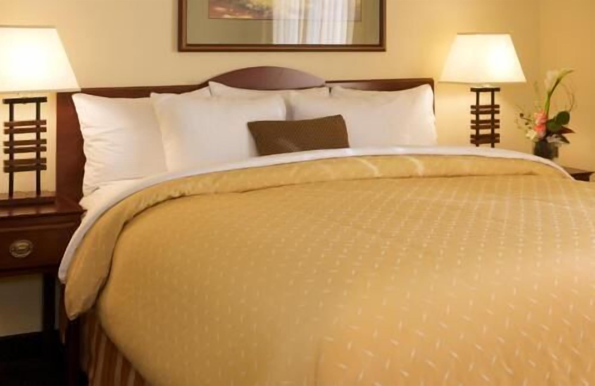 Premium bedding, desk, laptop workspace, blackout drapes
