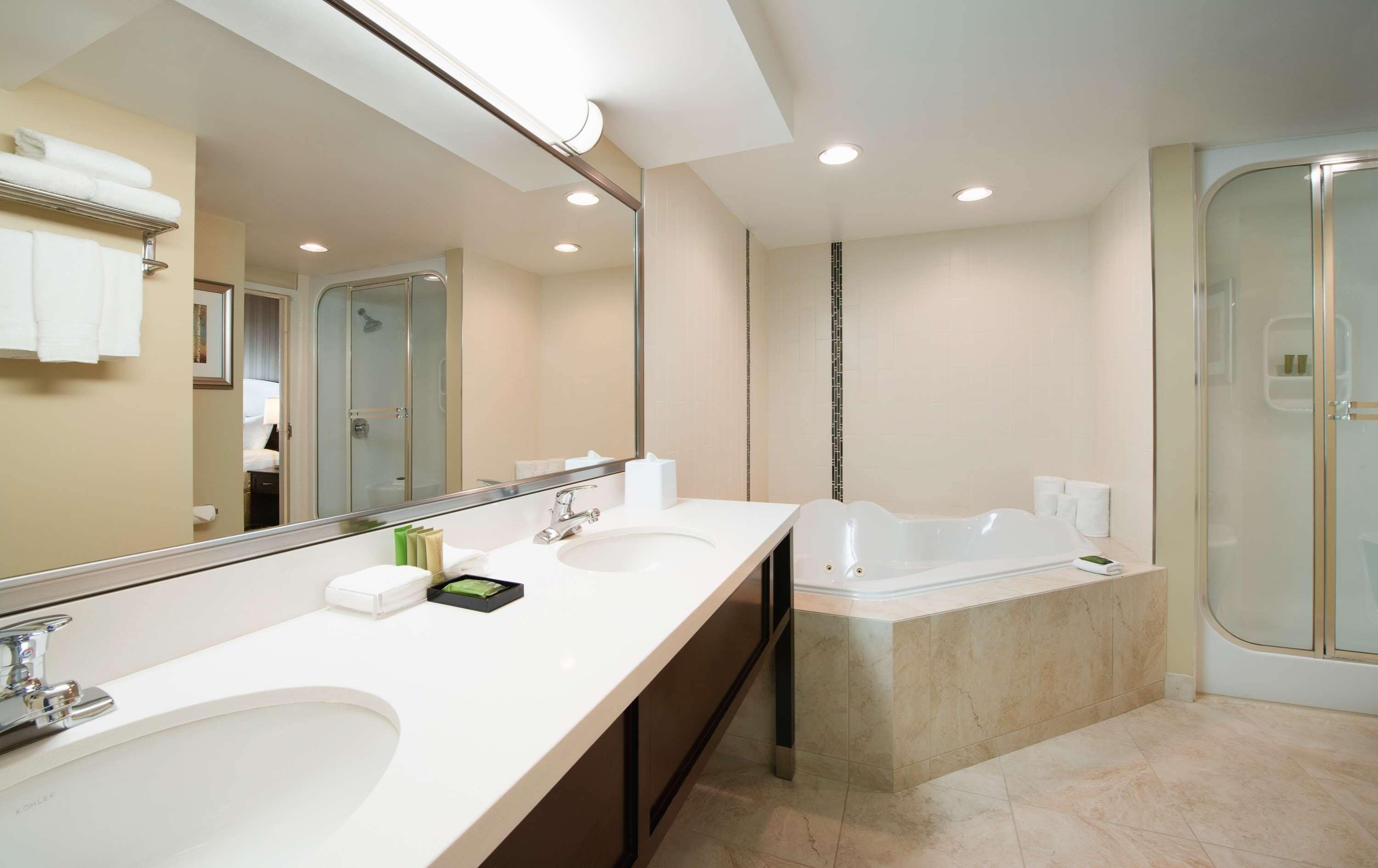 suite, 1 king bed, non smoking, jetted tub | bathroom | combined shower/bathtub, deep-soaking bathtub, hydromassage showerhead