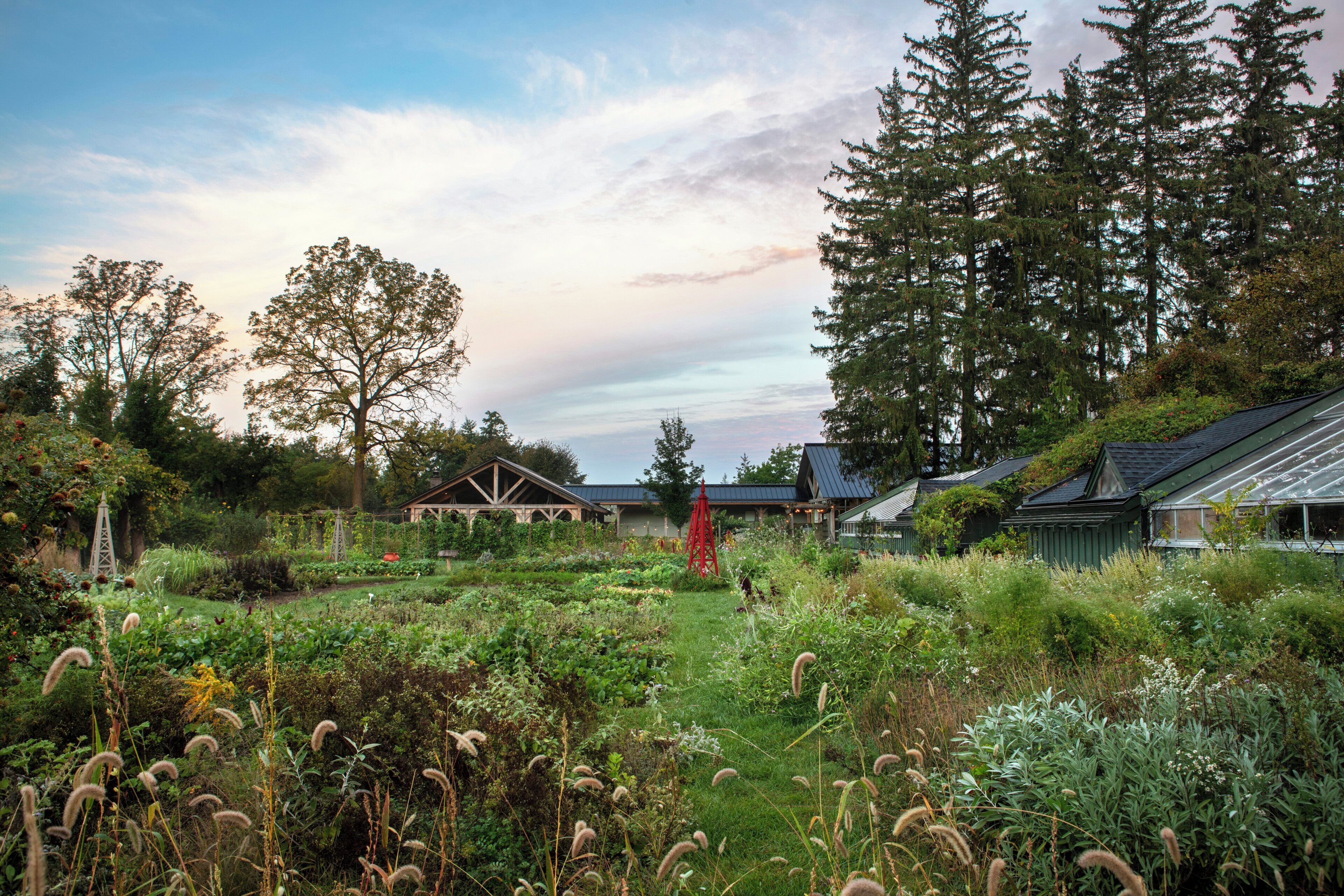 Terrain de l’hébergement 