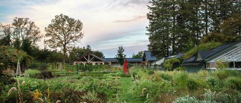 Terrain de lâhĂ©bergement