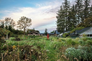 Property grounds - Langdon Hall Country House Hotel & Spa (Cambridge)