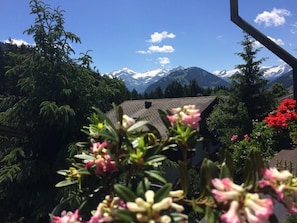 View from room