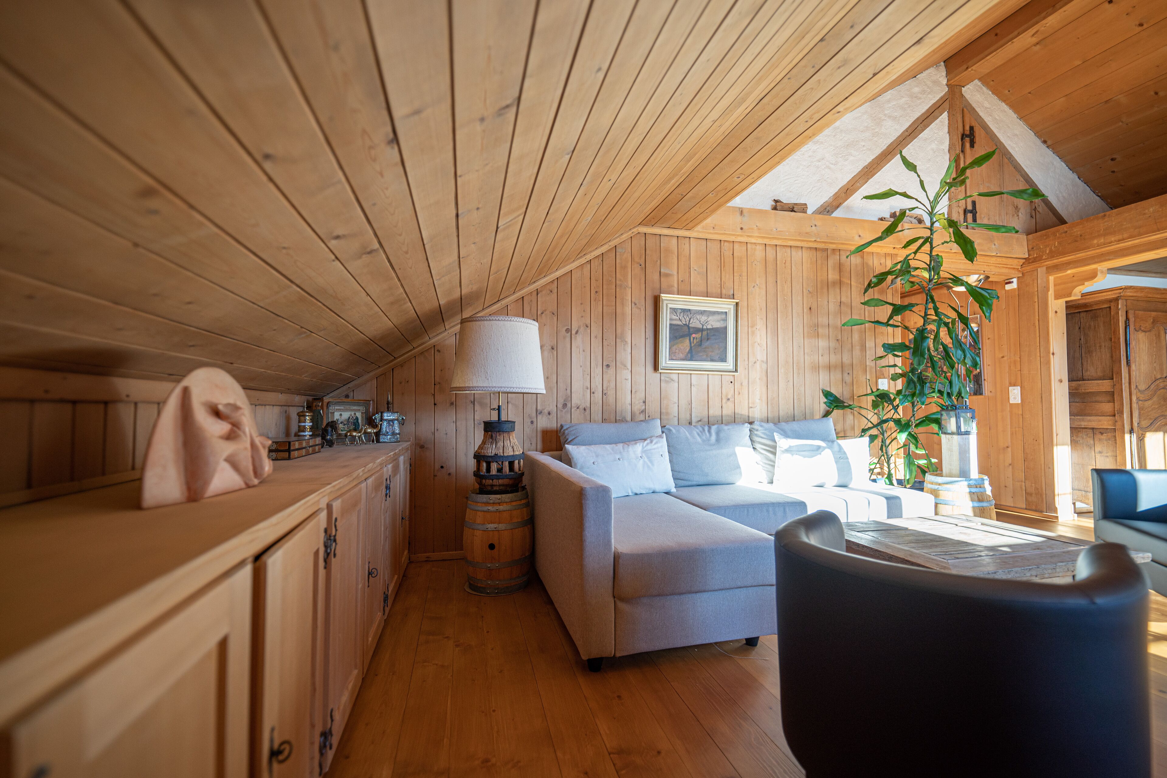 A cozy cabin interior with wooden walls, a sofa, a dining table, and a plant.