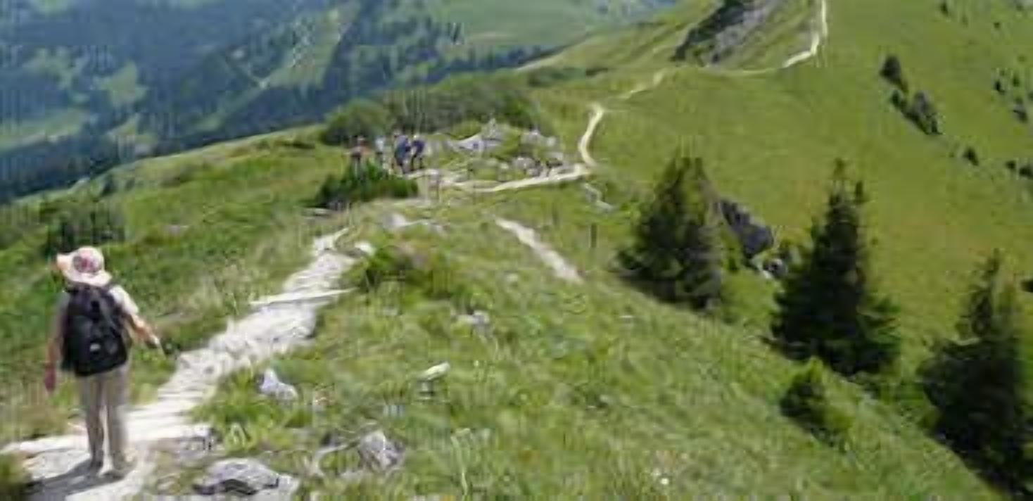 Foto - Hotel Alpenrose mit Gourmet-Restaurant Azalée