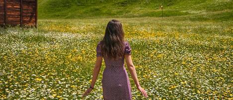 Una mujer caminando por un campo de margaritas, con una cabaña de madera y montañas al fondo.