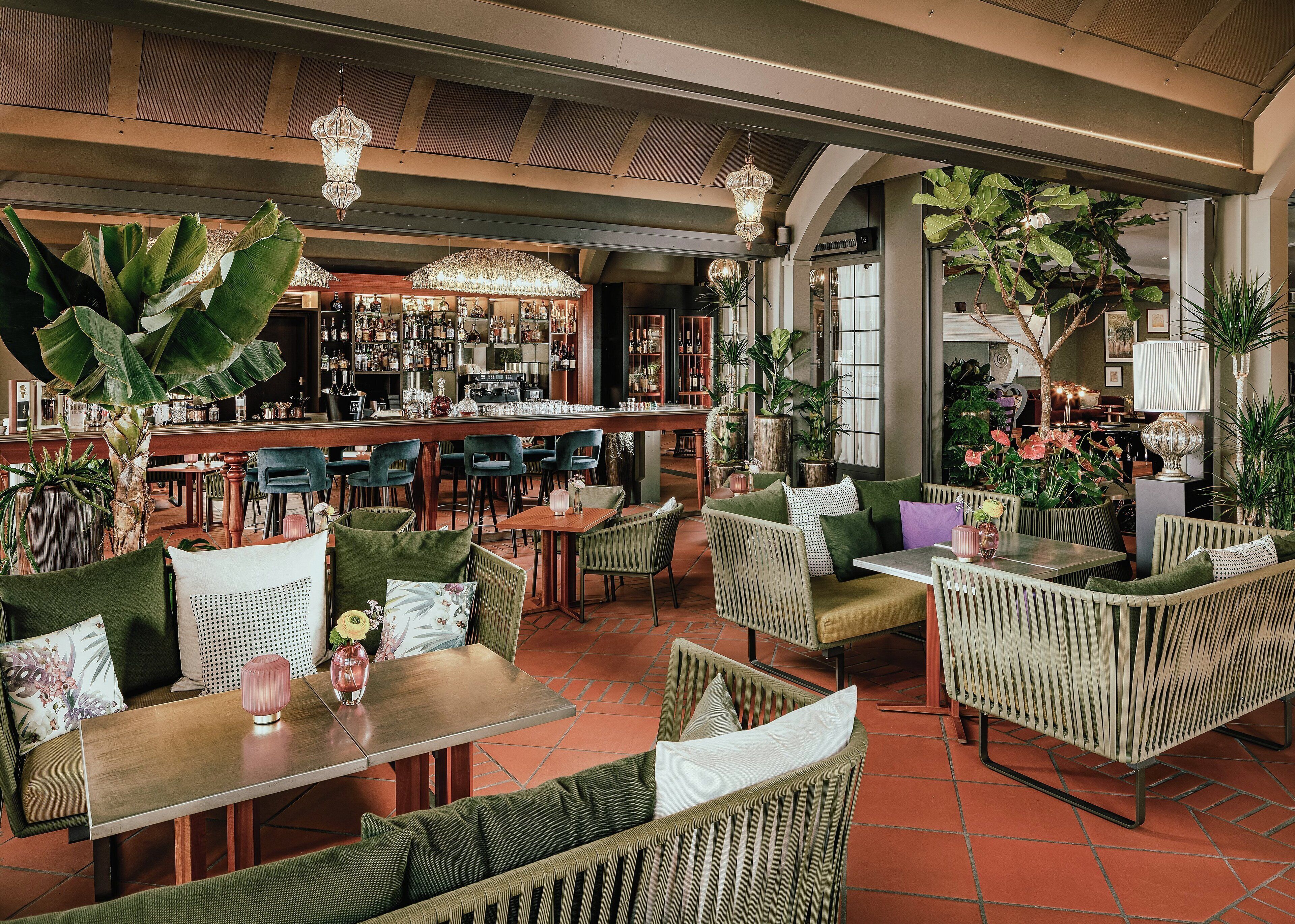 A cozy bar area with seating, a bar counter, and various plants.