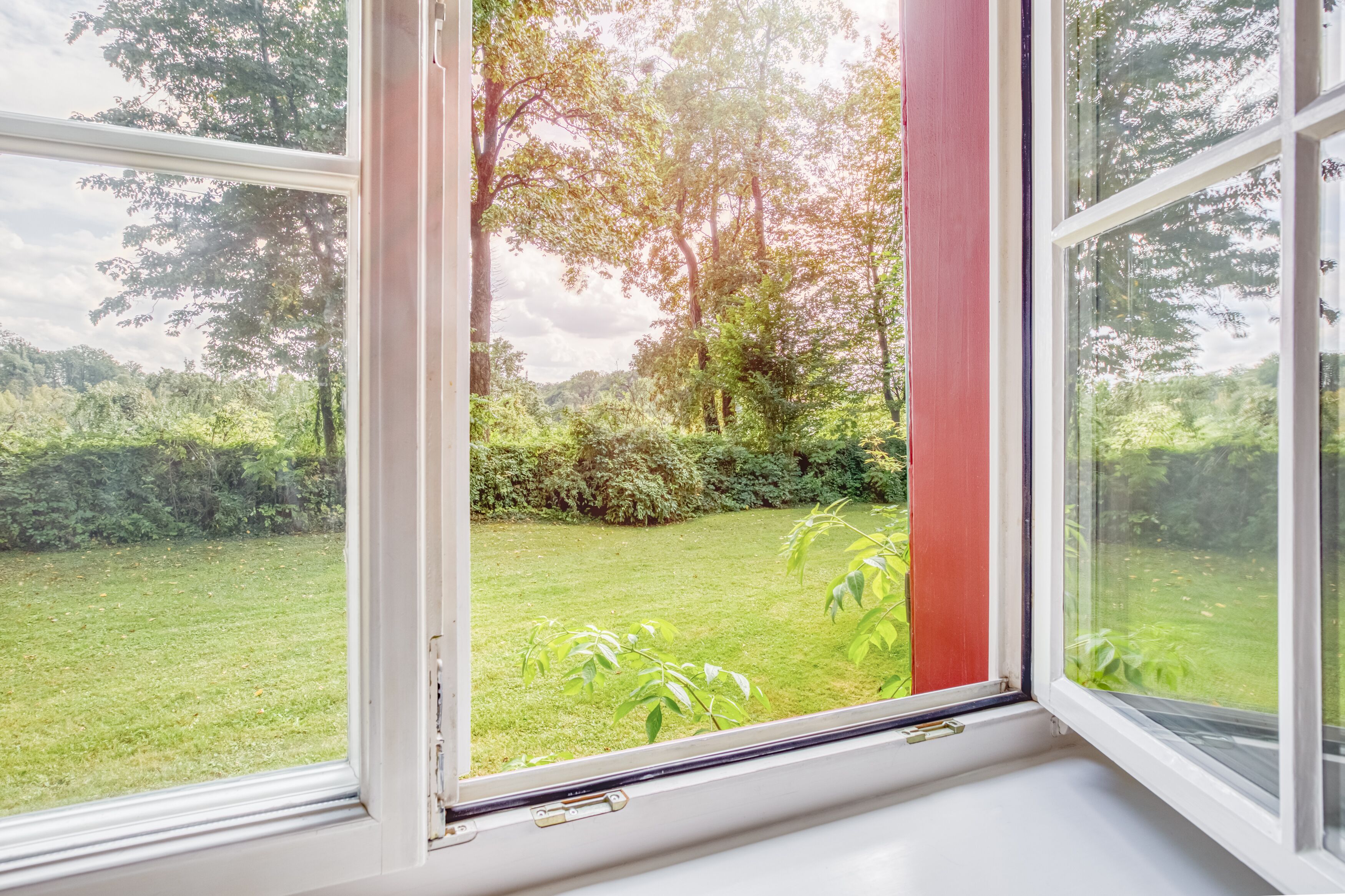 A window with a view of a well-maintained garden and trees.