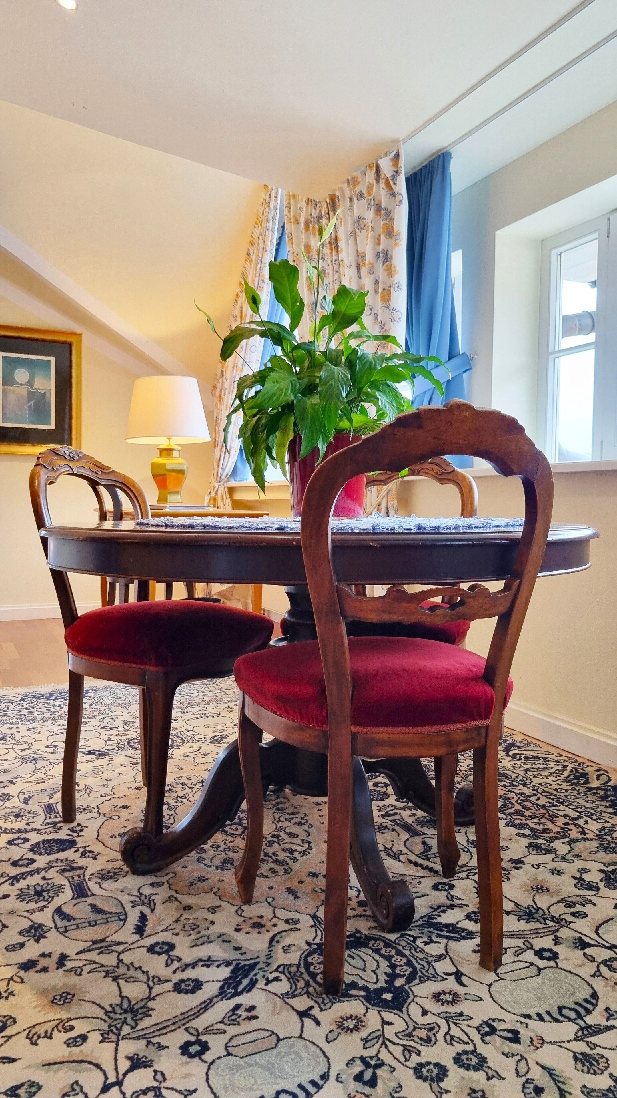 A dining area with a table, chairs, a potted plant, and a patterned carpet.