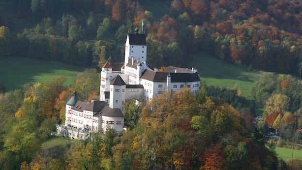 A large, historic castle surrounded by autumn foliage.
