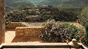 Junior suite (Executive) | Terras