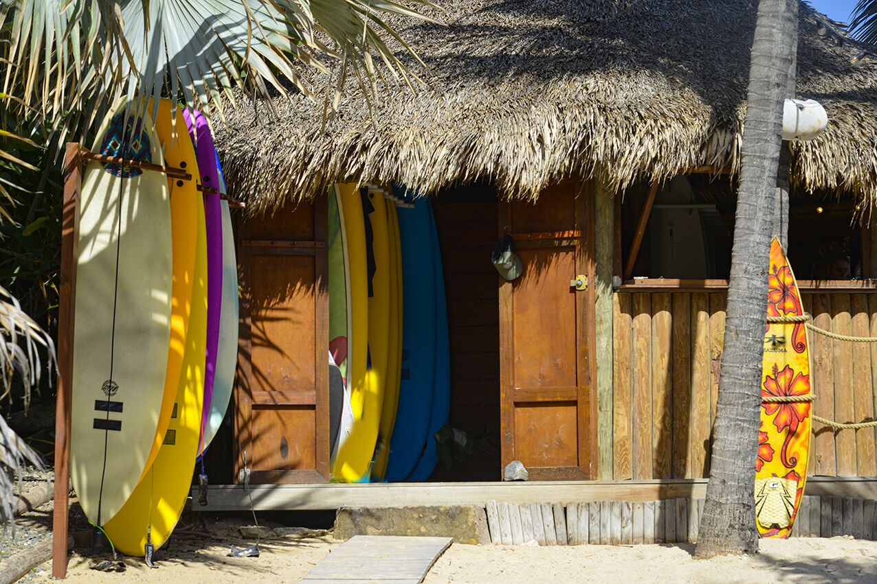 surfing/boogie boarding