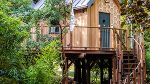 A wooden treehouse with a metal roof, surrounded by lush greenery. - Chewton Glen Hotel & Spa (New Milton)