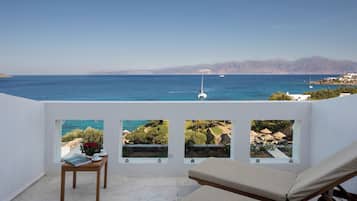 Superior-huone | Terassi/patio