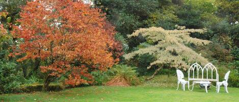 A garden with a white metal bench and chairs, surrounded by trees with autumn foliage.