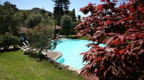 A swimming pool surrounded by lush greenery and a small gazebo.