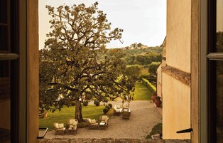 Vista di un cortile con un albero grande, posti a sedere all'aperto e un edificio sullo sfondo.