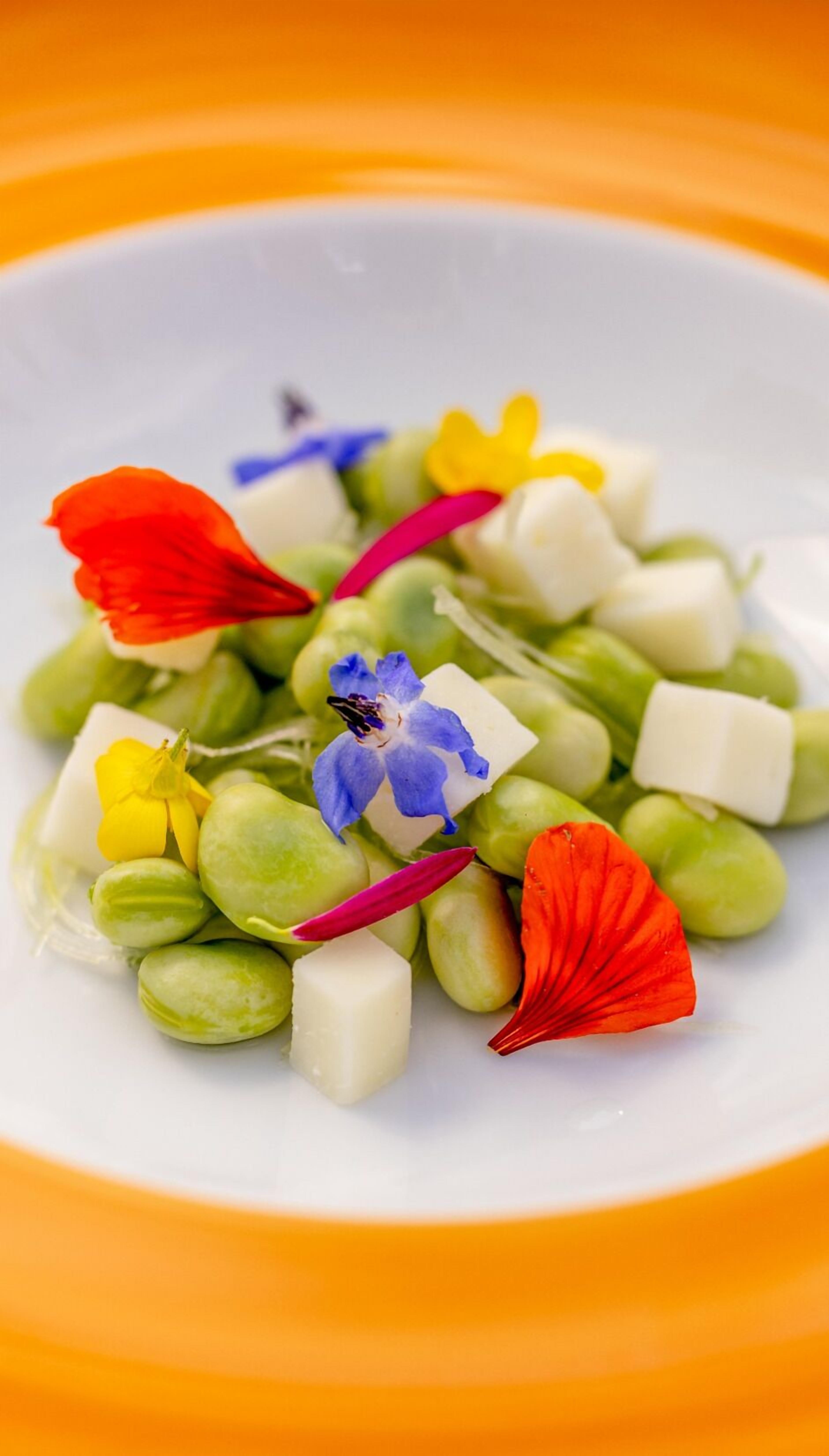 Ein weißer Teller mit grünen Bohnen, weißen Würfeln und bunten Blumen.