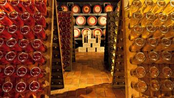 Une cave à vin avec des rangées de bouteilles de vin et de verres.