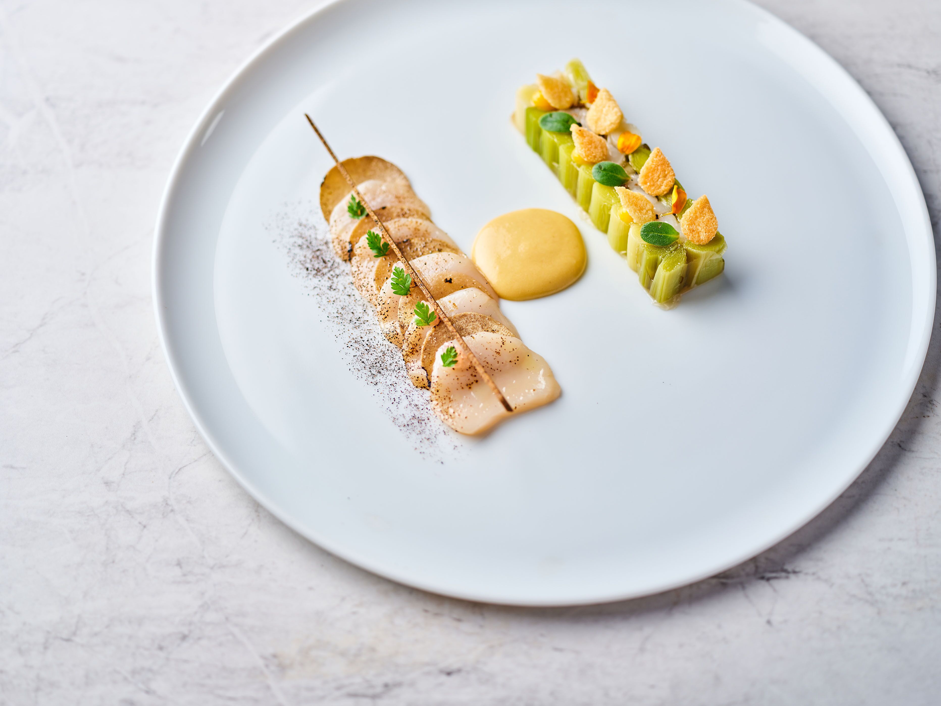 A white plate with two food items: a skewer of meat with a sauce and a row of vegetables with croutons.
