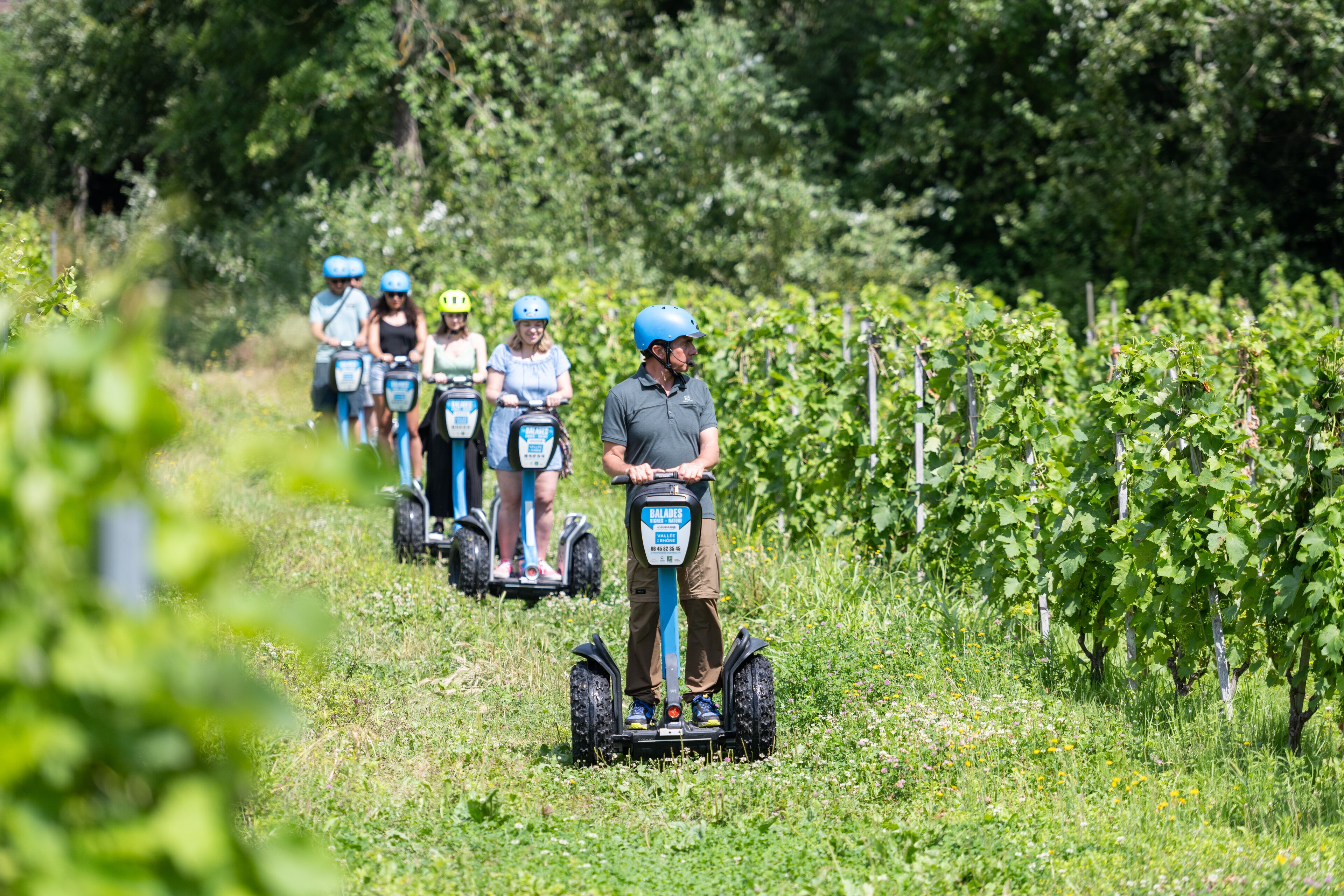 Ryhmä ihmisiä, jotka ajelevat segway-lautoilla viinitarhassa.