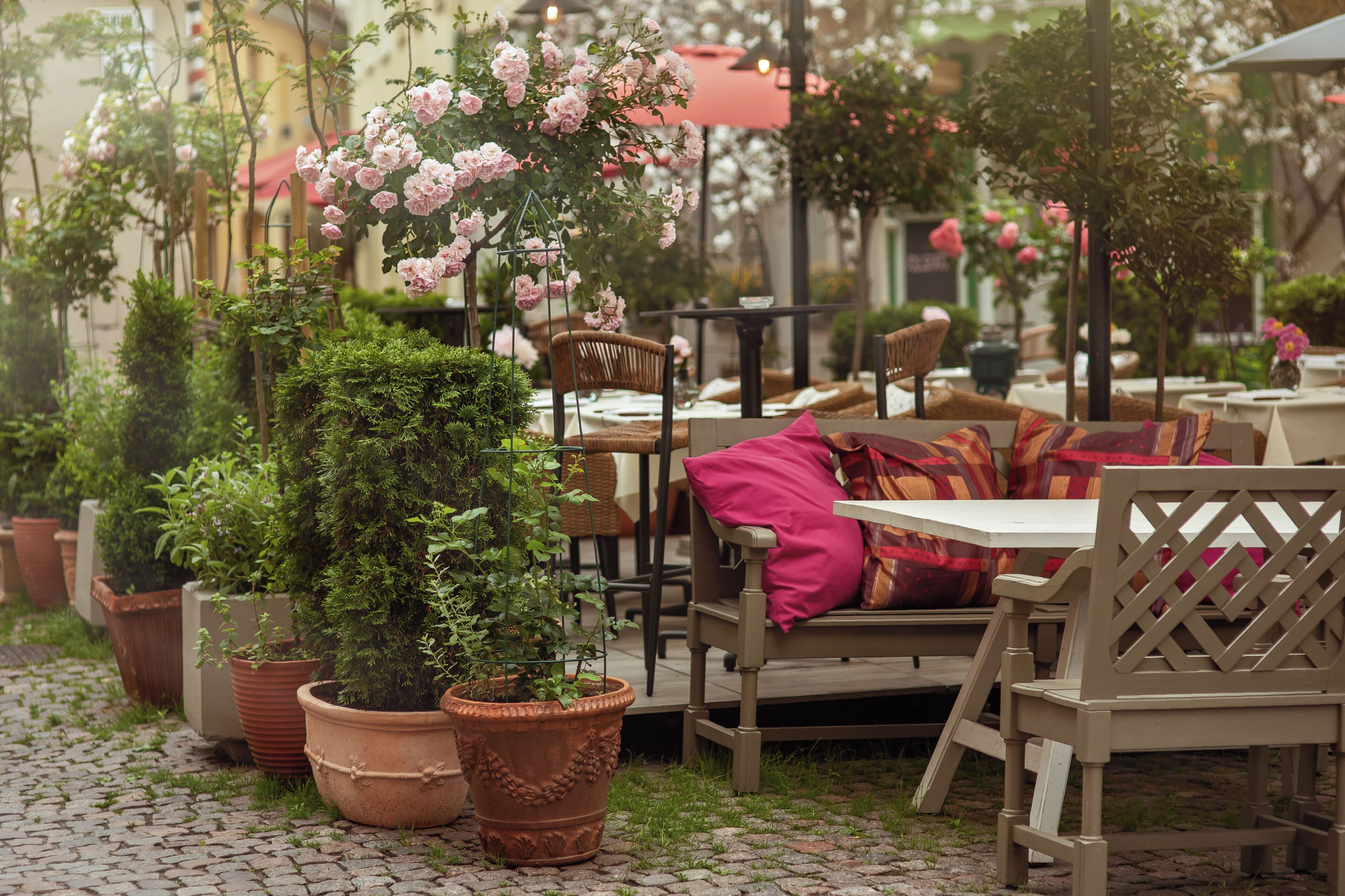 Terraza o patio