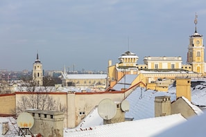 Vista desde la propiedad