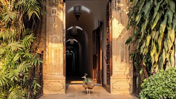 Suite, patio | Una cassaforte in camera, una scrivania, Wi-Fi gratuito, lenzuola
