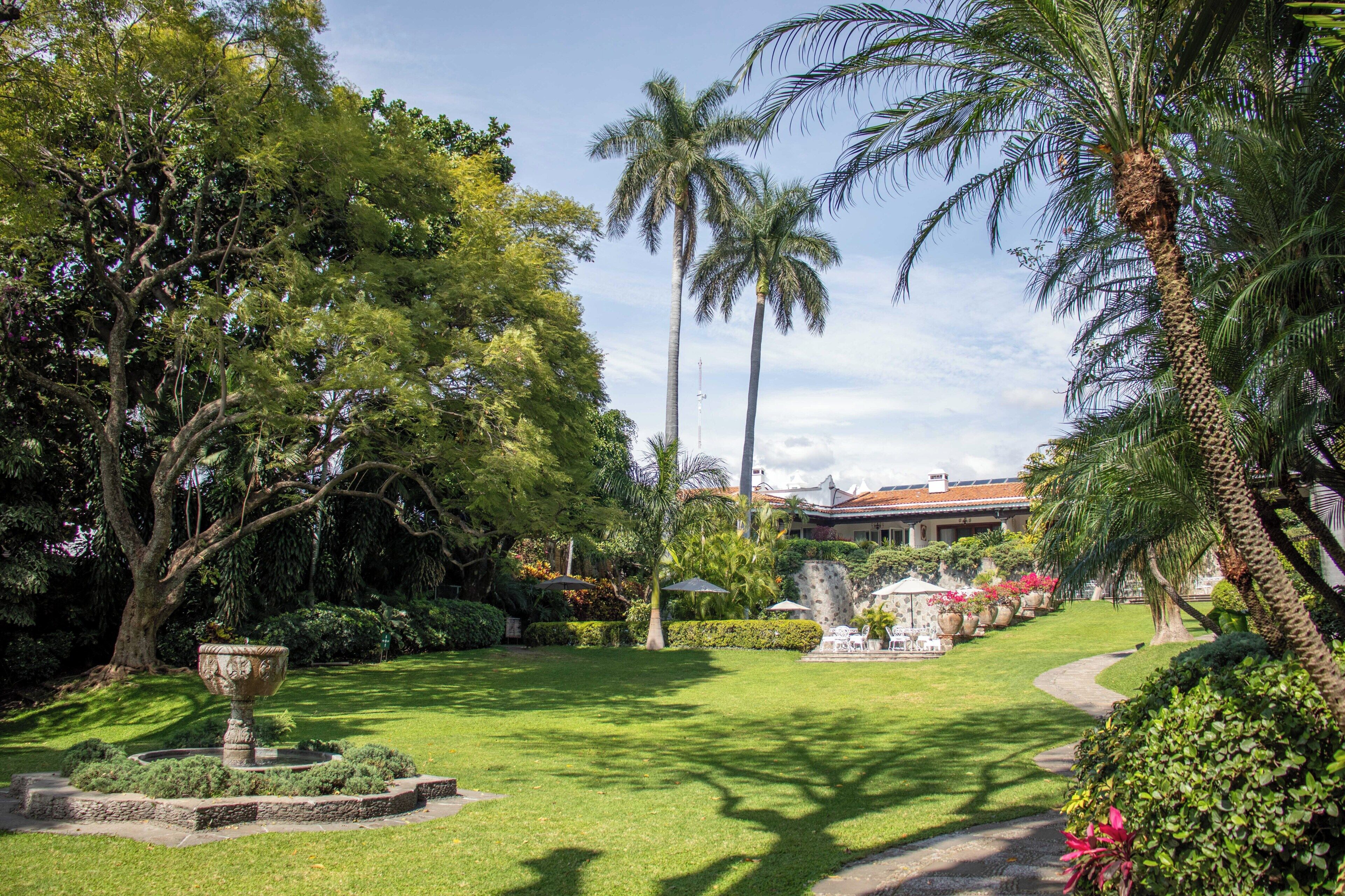 Un jardin bien entretenu, agrémenté de divers arbres, d’une fontaine centrale et d’un sentier menant à un bâtiment.