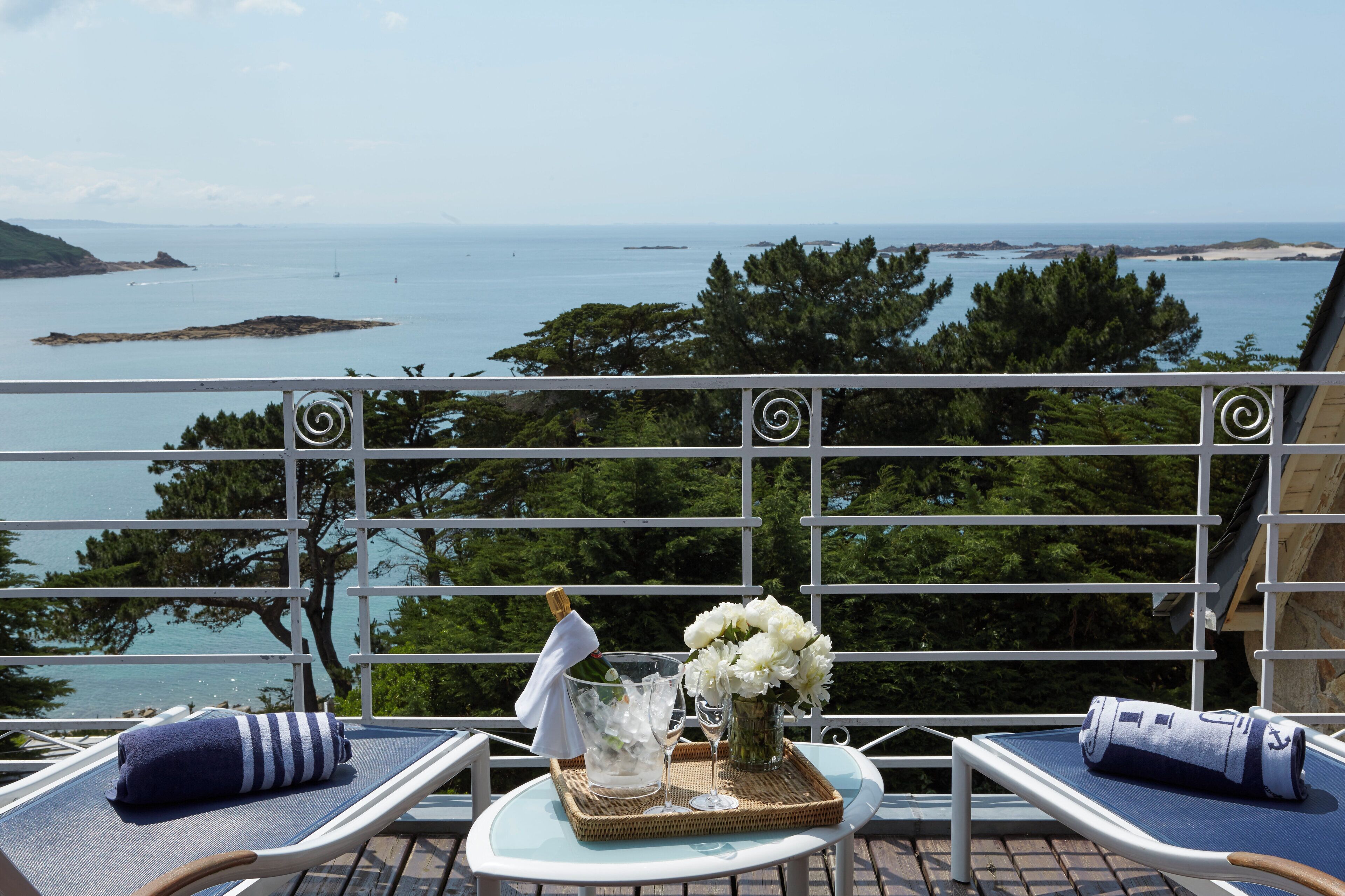 خدمة الإنترنت ومُنبهات