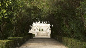 A pathway leading to a stone staircase surrounded by lush greenery. - Quinta Das Lagrimas (Coimbra)