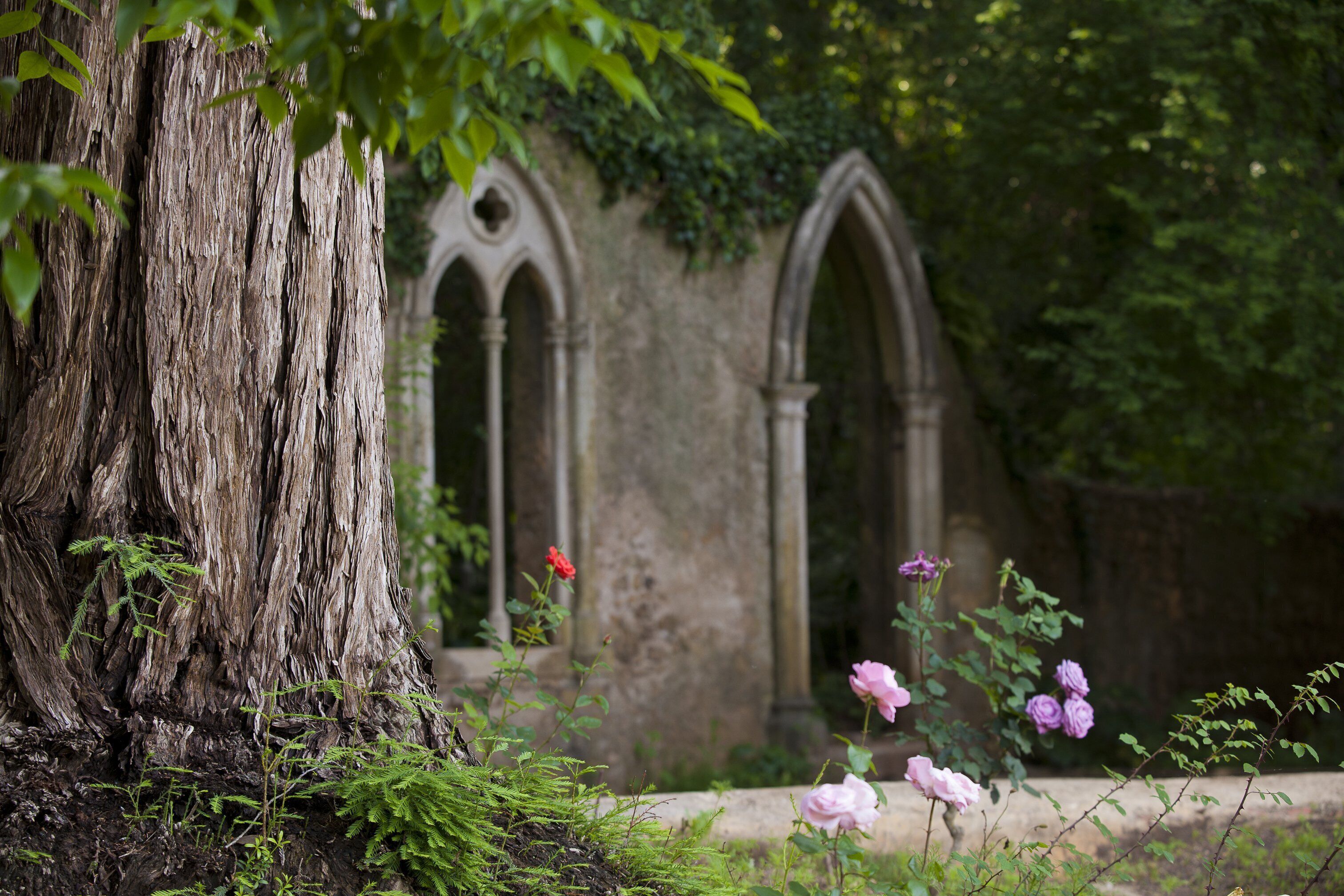 Foto - Hotel Quinta das Lagrimas - Small Luxury Hotels